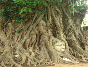 Thailand - Wat Phra Mahthat